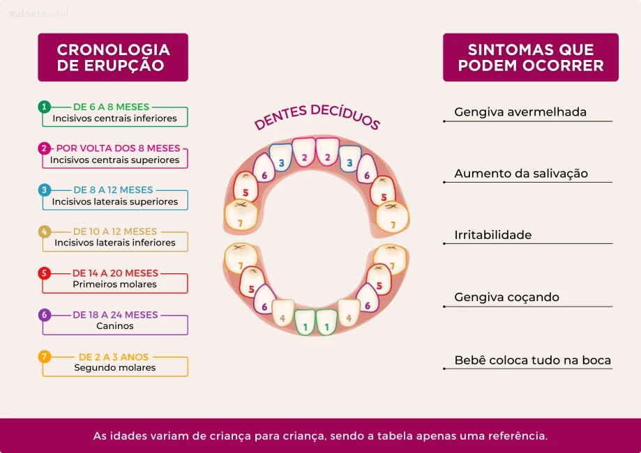 S-Planos - [B2 Odonto] - [D, N, T e C] - 04